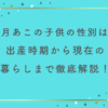 観月あこの子供の性別や年齢は？出産時期から現在の暮らしまで徹底解説！