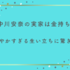 中川安奈の実家は金持ちって本当？華やかすぎる生い立ちに驚き！