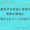 芳根京子は本当に金持ち？実家の真相と親孝行エピソードが泣ける！